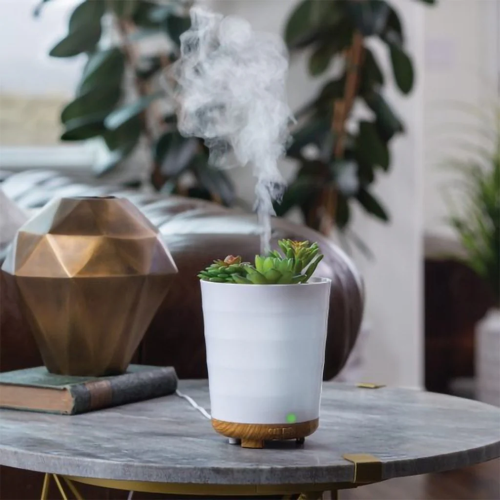 Airomé : Potted Succulent Medium Ultra Sonic Diffuser - Image 3
