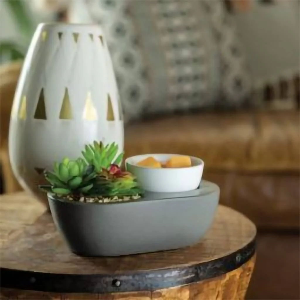 Airomé : Succulent ArtScents Wax Warmer - Image 2