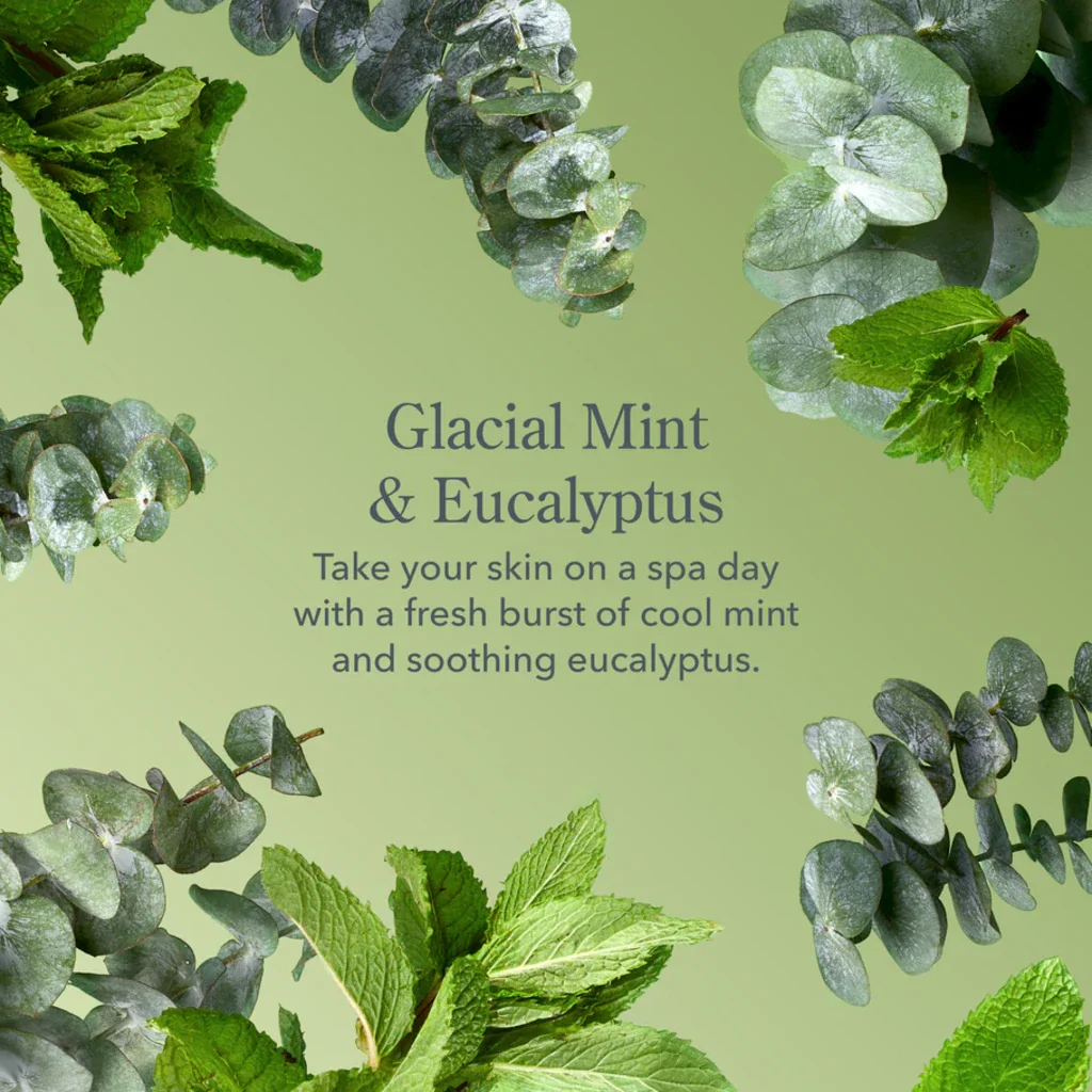 Beekman: Glacial Mint & Eucalyptus Lip Balm - Image 2
