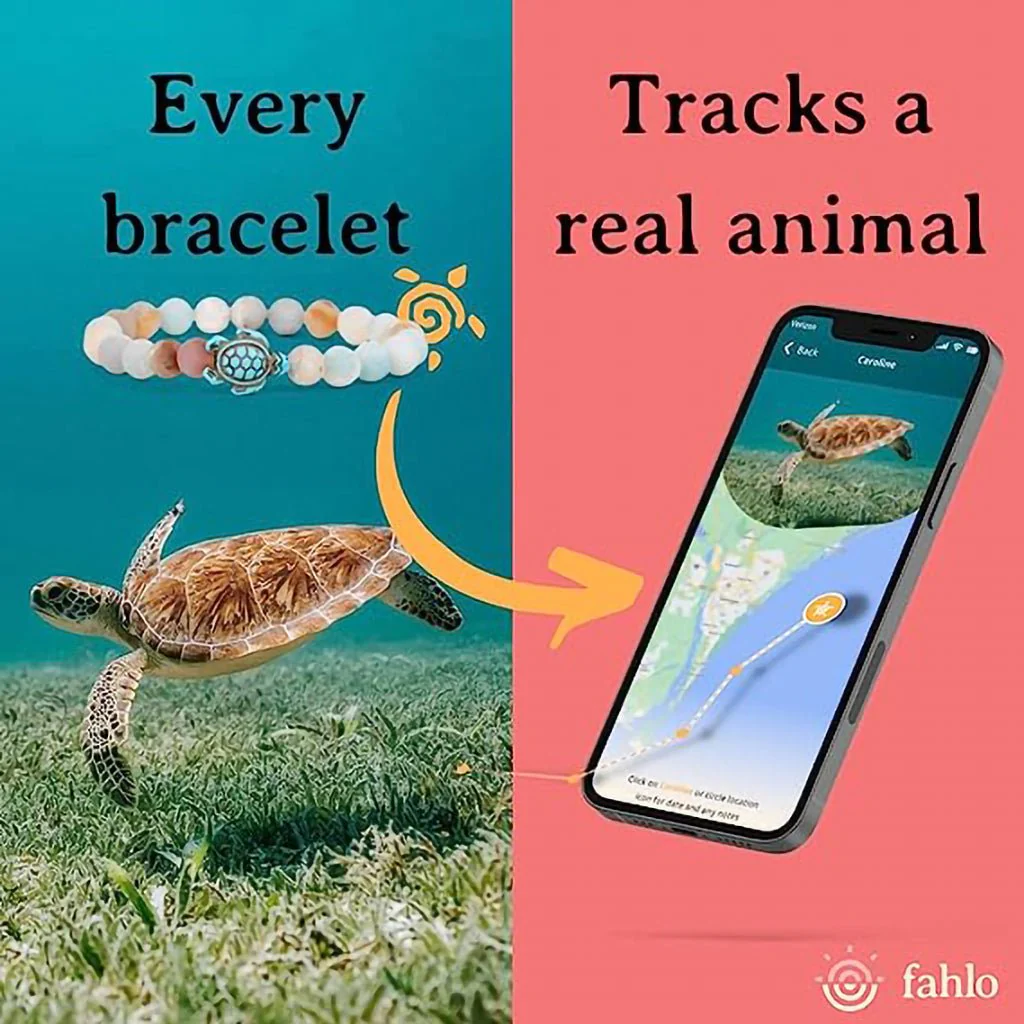 Fahlo : The Passage Bracelet in Igloo Blue - Penguin - Image 2
