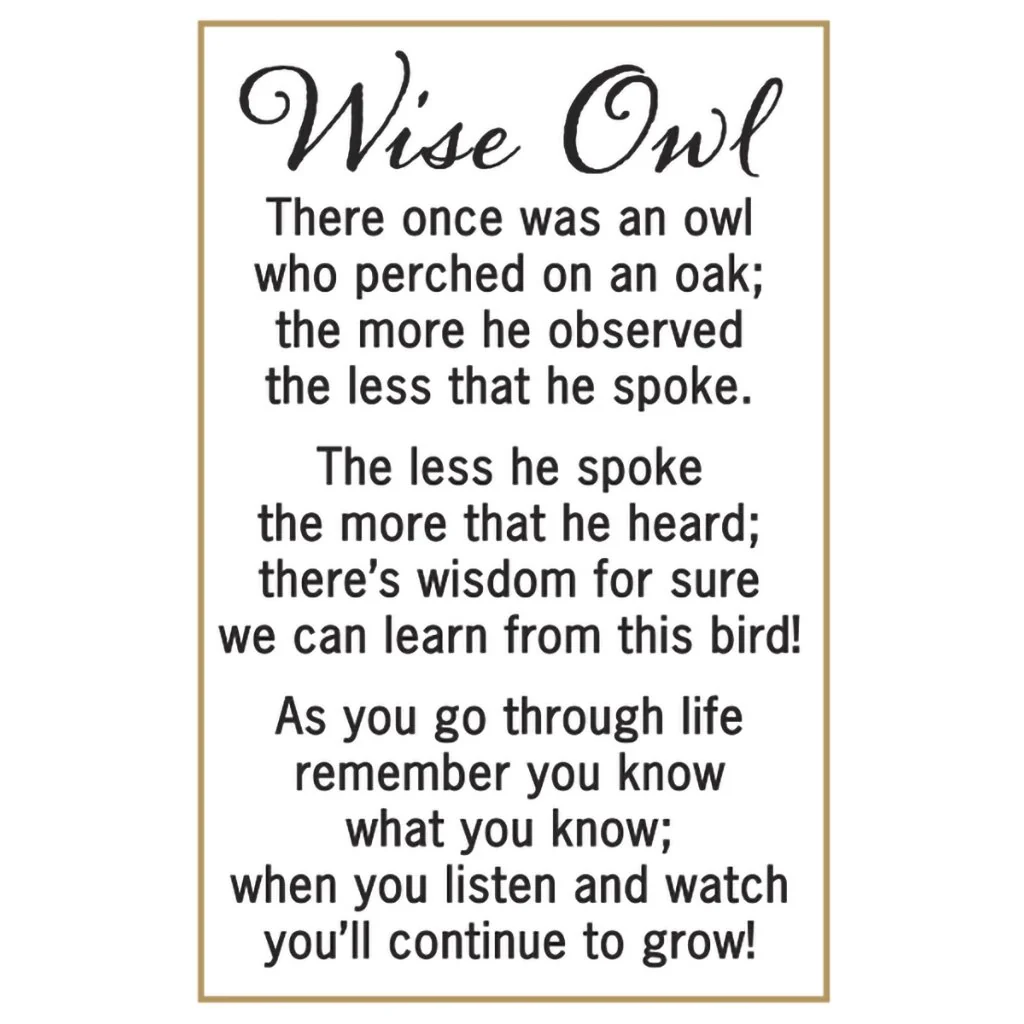 Ganz : Wise Owl Stone Charm - Image 2