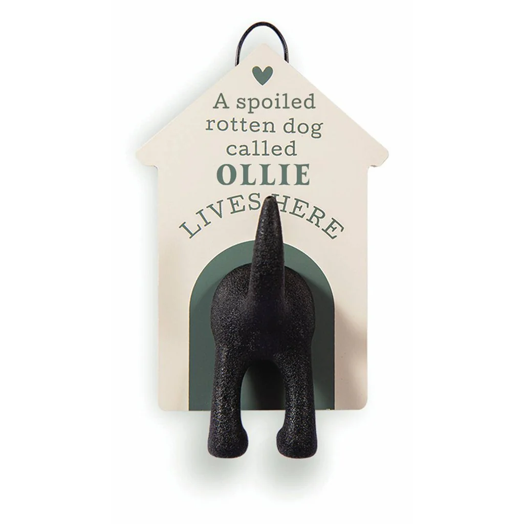 H & H Gifts : Dog Leash Hook - Ollie