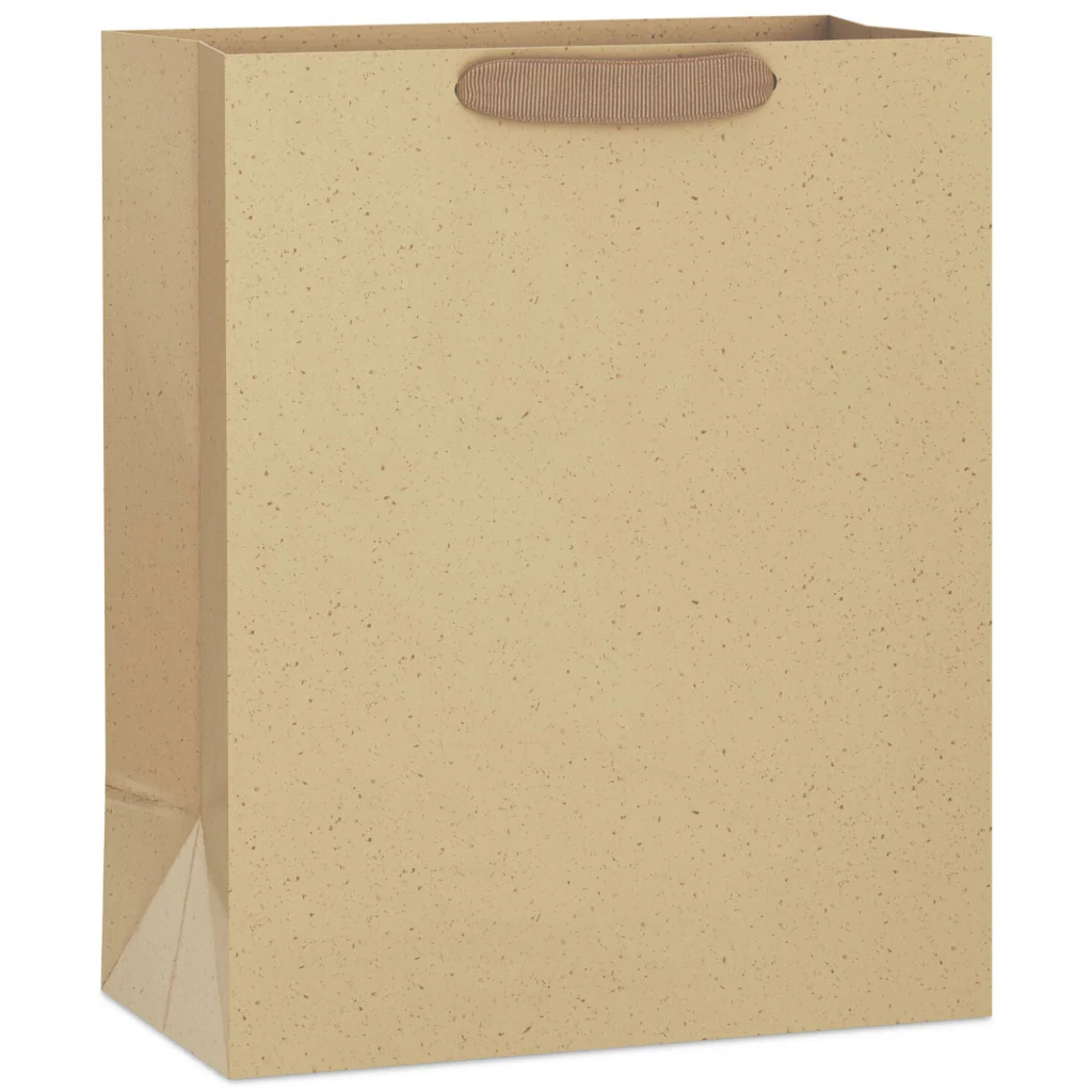 Hallmark : 13" Kraft Paper Large Gift Bag