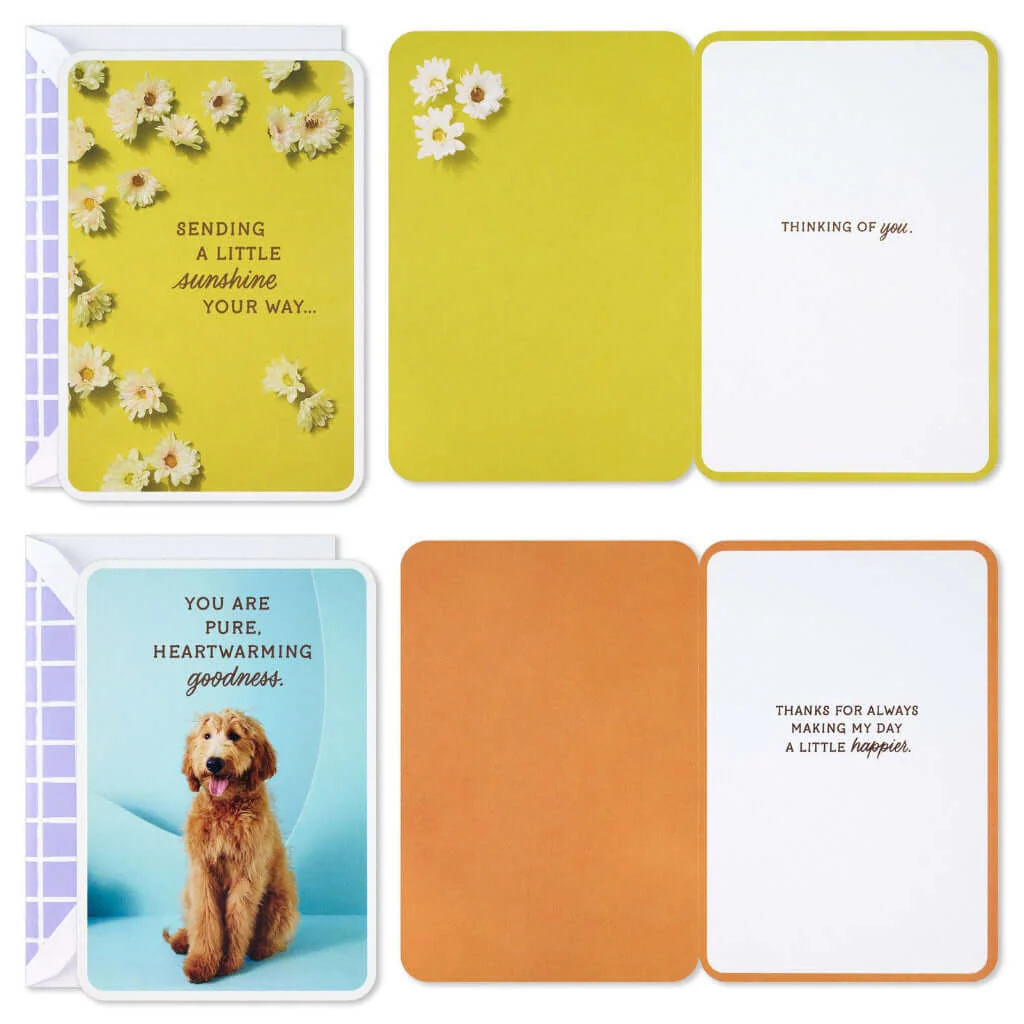 Hallmark : Dog and Cat Just Because Cards Pack With Stickers - Image 3