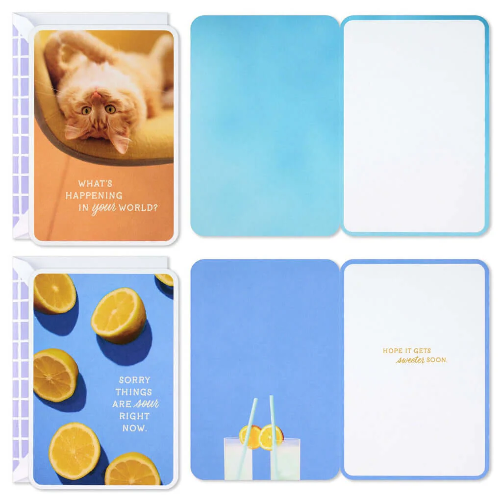 Hallmark : Dog and Cat Just Because Cards Pack With Stickers - Image 4