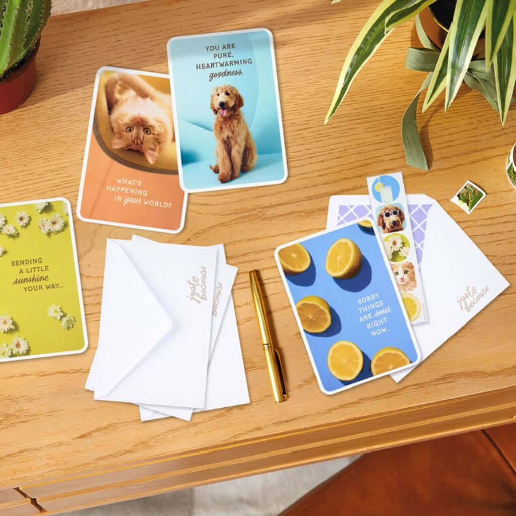 Hallmark : Dog and Cat Just Because Cards Pack With Stickers - Image 6