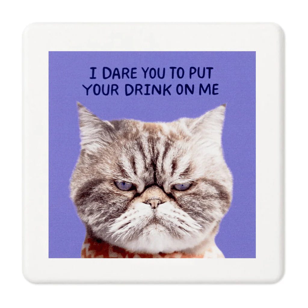 Hallmark : Grumpy Kevin the Cat Photo Funny Coaster