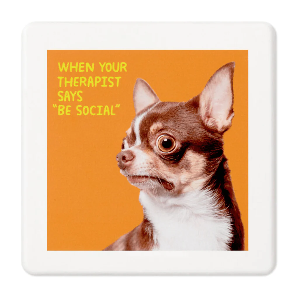 Hallmark : Scared Chihuahua Photo Funny Coaster