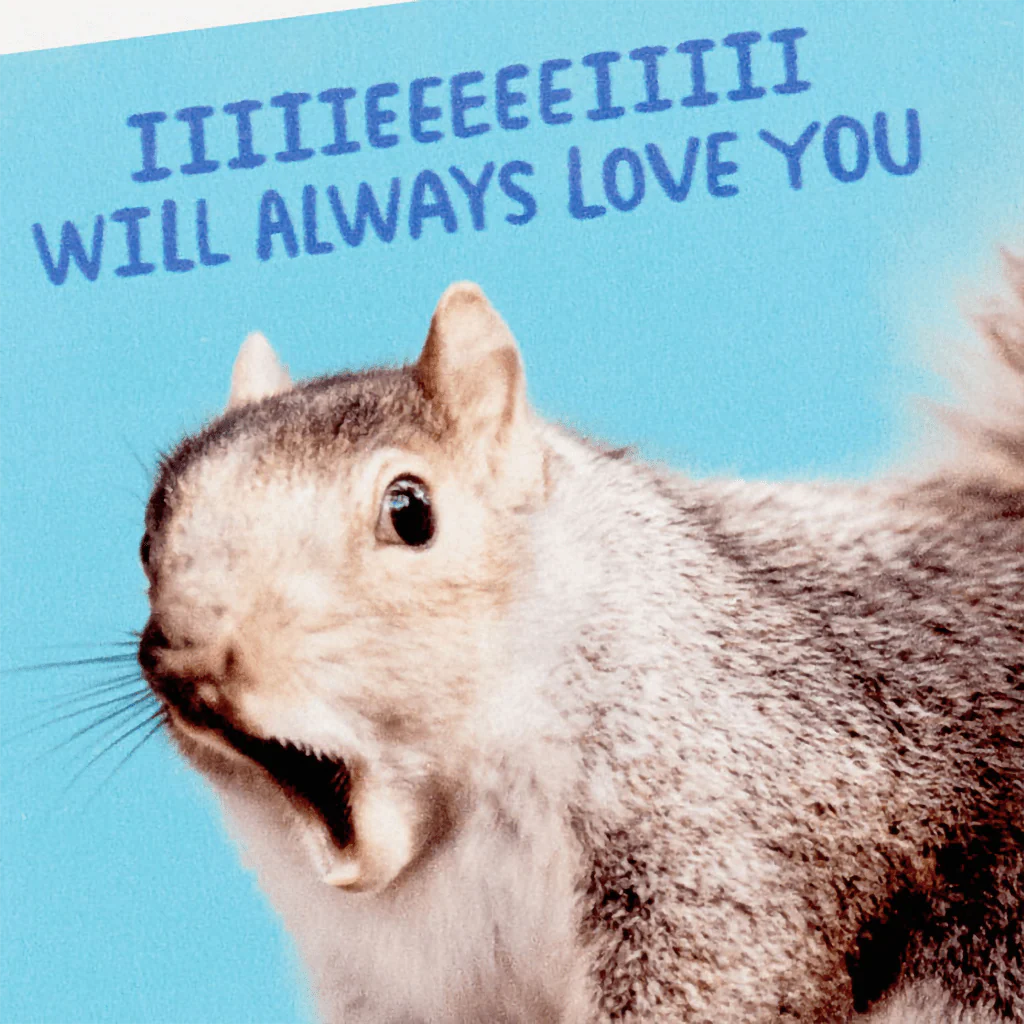 Hallmark : Singing Squirrel Photo Funny Coaster - Image 2