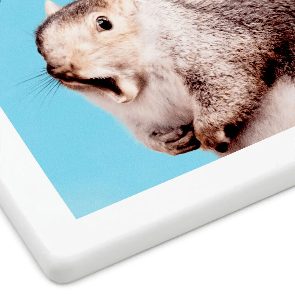 Hallmark : Singing Squirrel Photo Funny Coaster - Image 3