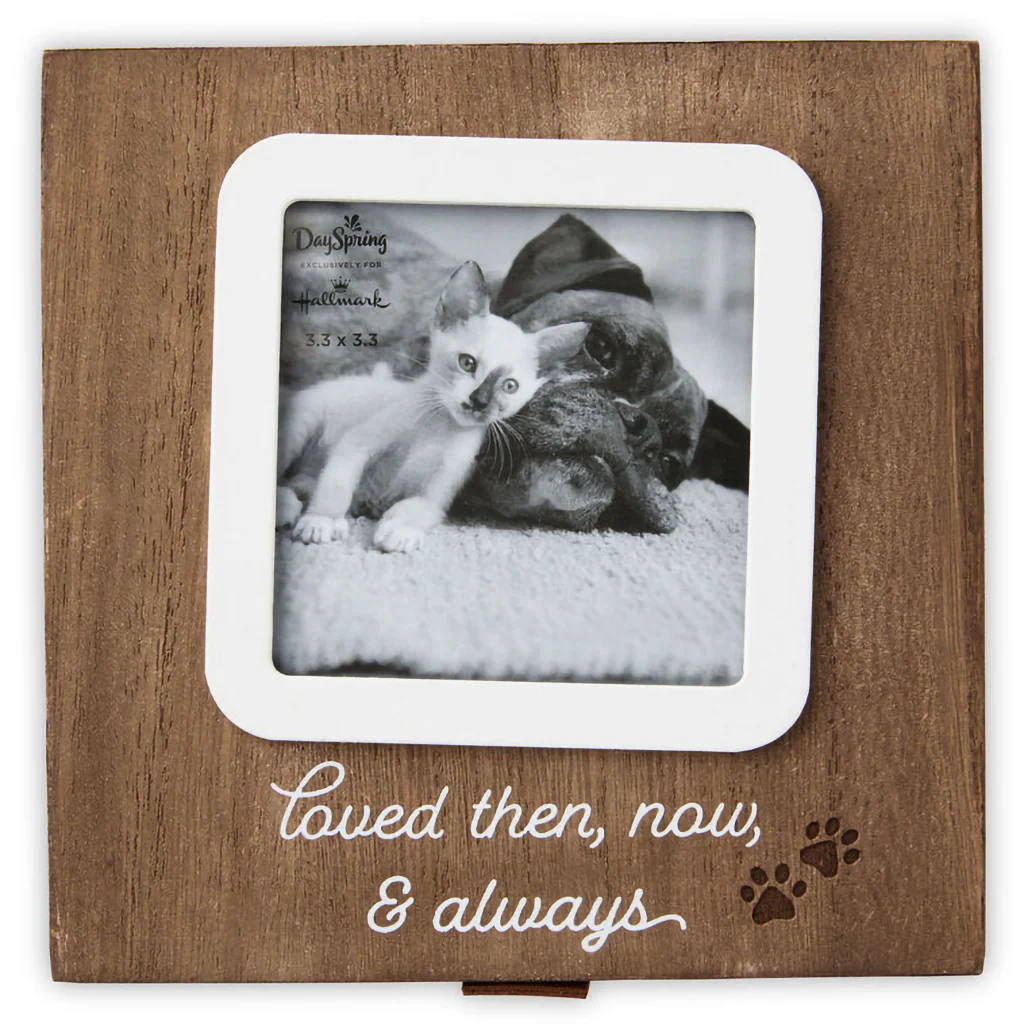 Hallmark : Then, Now and Always Pet Memory Box - Image 4