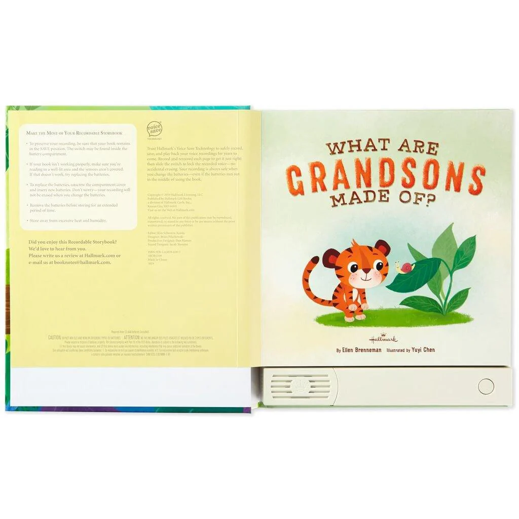 Hallmark : What Are Grandsons Made Of? Recordable Storybook - Image 3