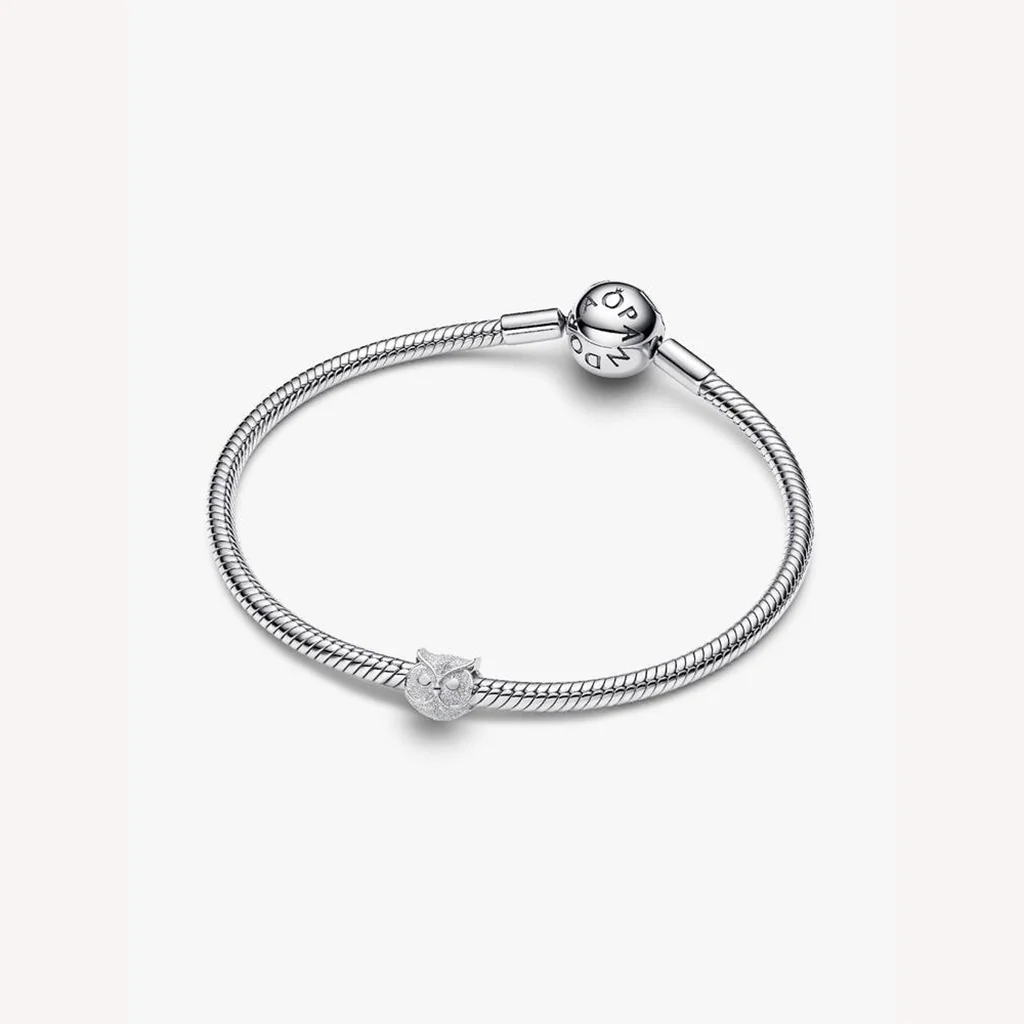 Pandora : Textured Owl Mini Charm - Image 3