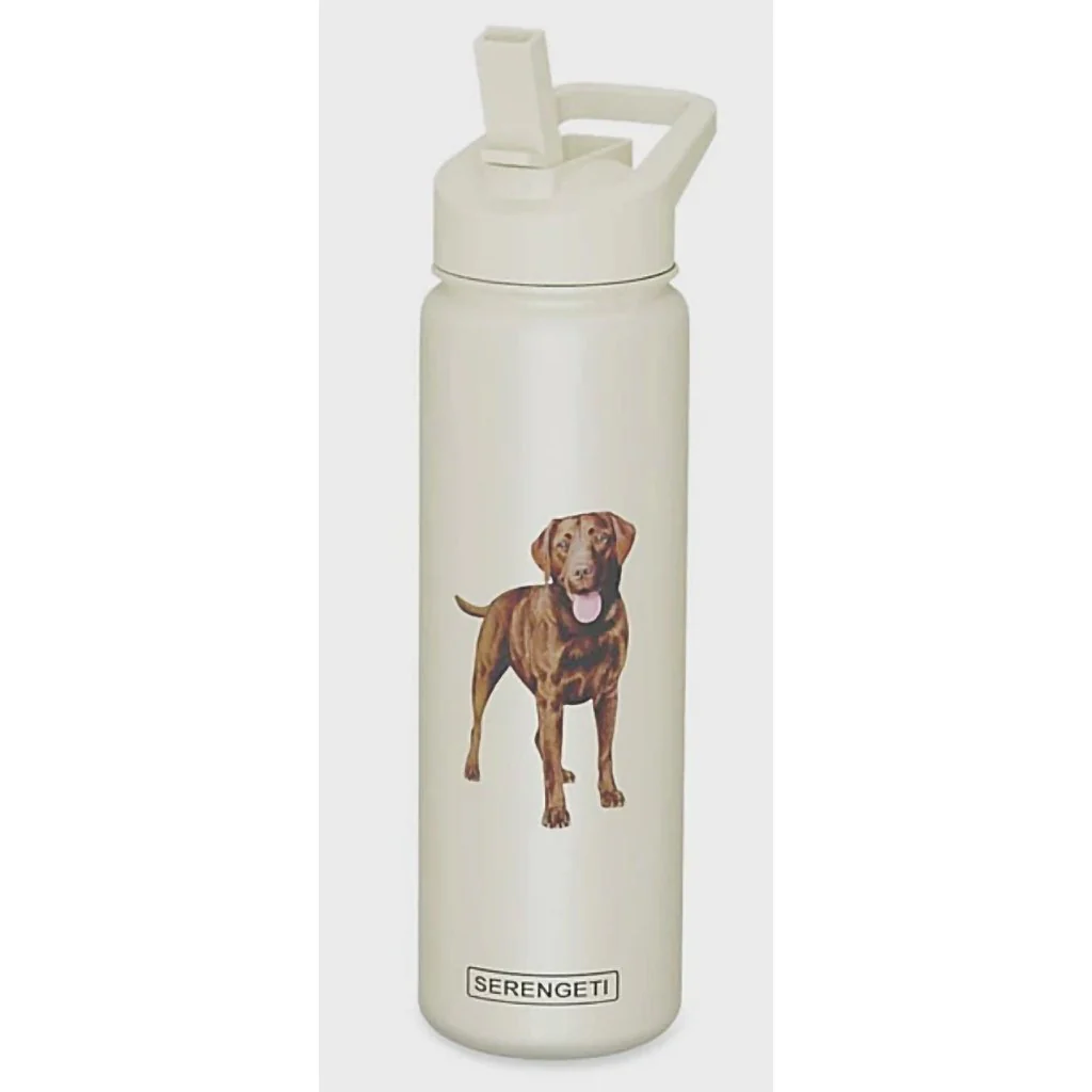 Serengeti : Chocolate Labrador 24 oz Water Bottle