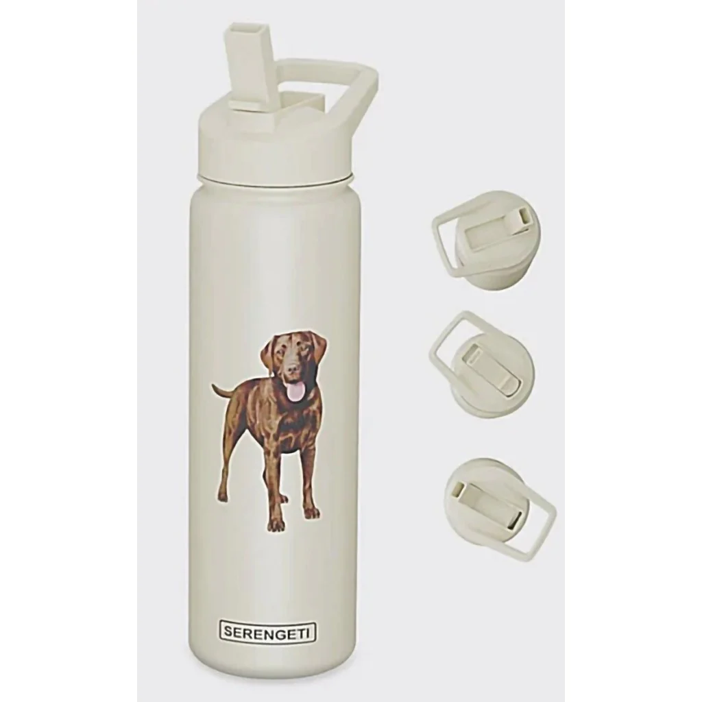Serengeti : Chocolate Labrador 24 oz Water Bottle - Image 2