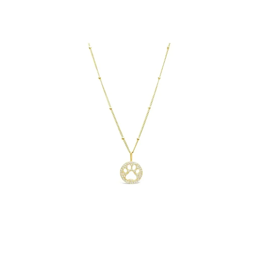 Stia : Charm & Chain Necklace Pavé Paw in Gold Plating