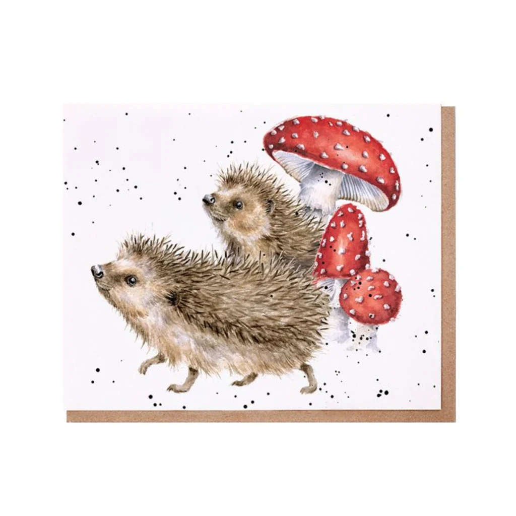 Wrendale : A Prickly Adventure' Hedgehog Card