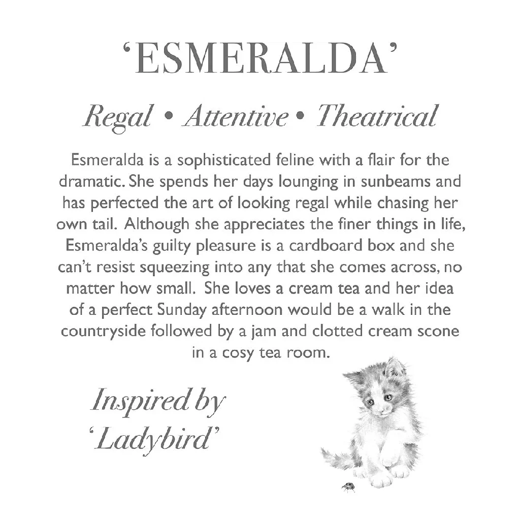 Wrendale : 'Esmeralda' Cat Character - Image 3