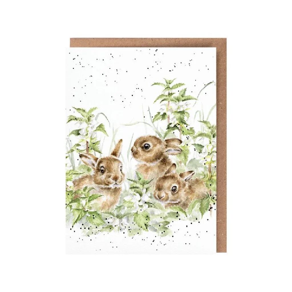 Wrendale : Spring Hares' Leveret Card
