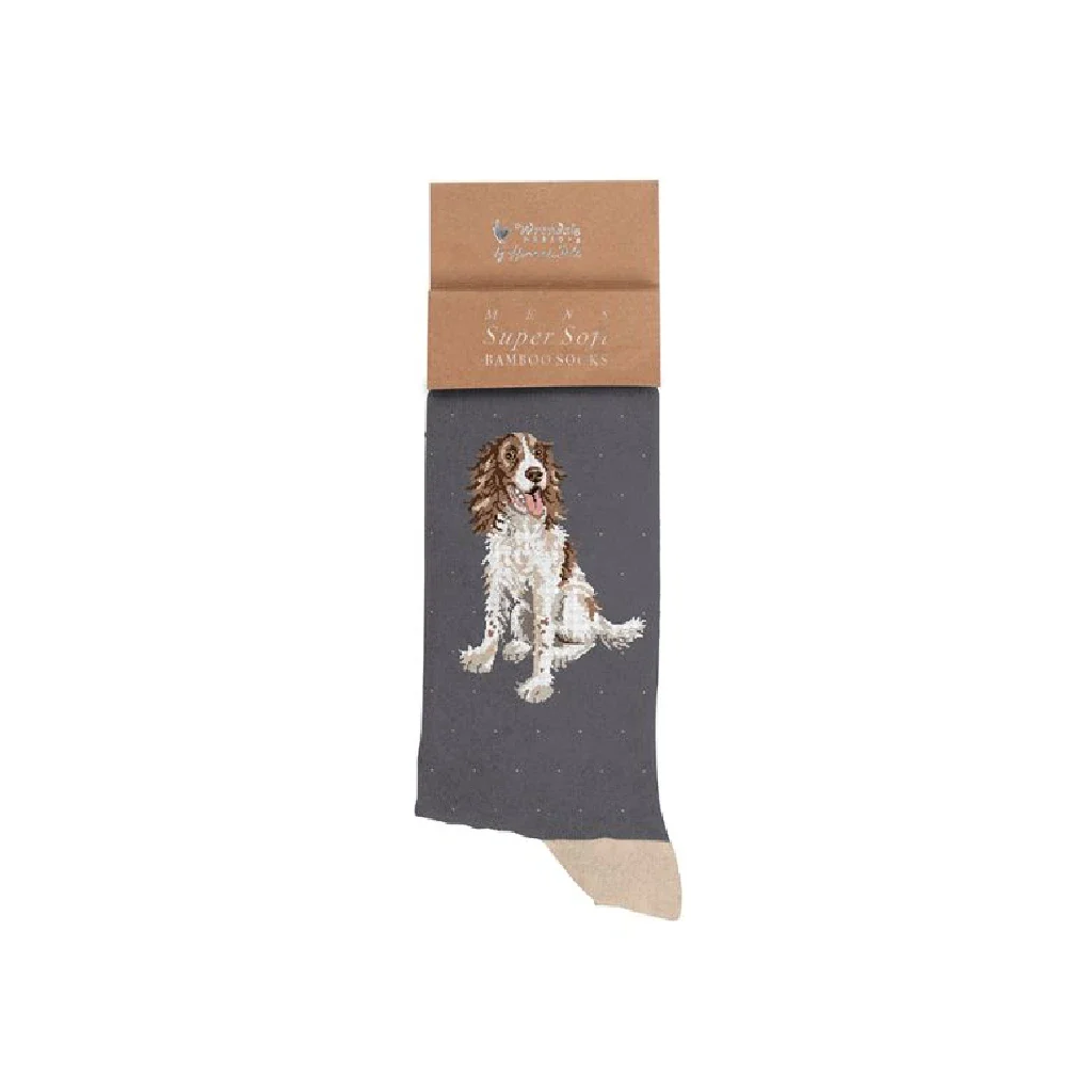 Wrendale : Willow' Spaniel Men's Socks