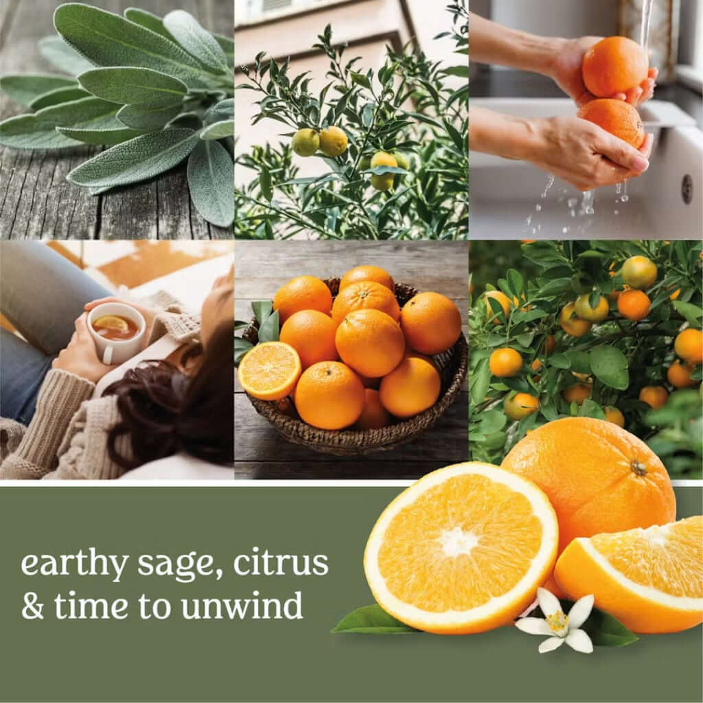 Yankee Candle : Concentrated Room Spray Sage and Citrus - Image 2