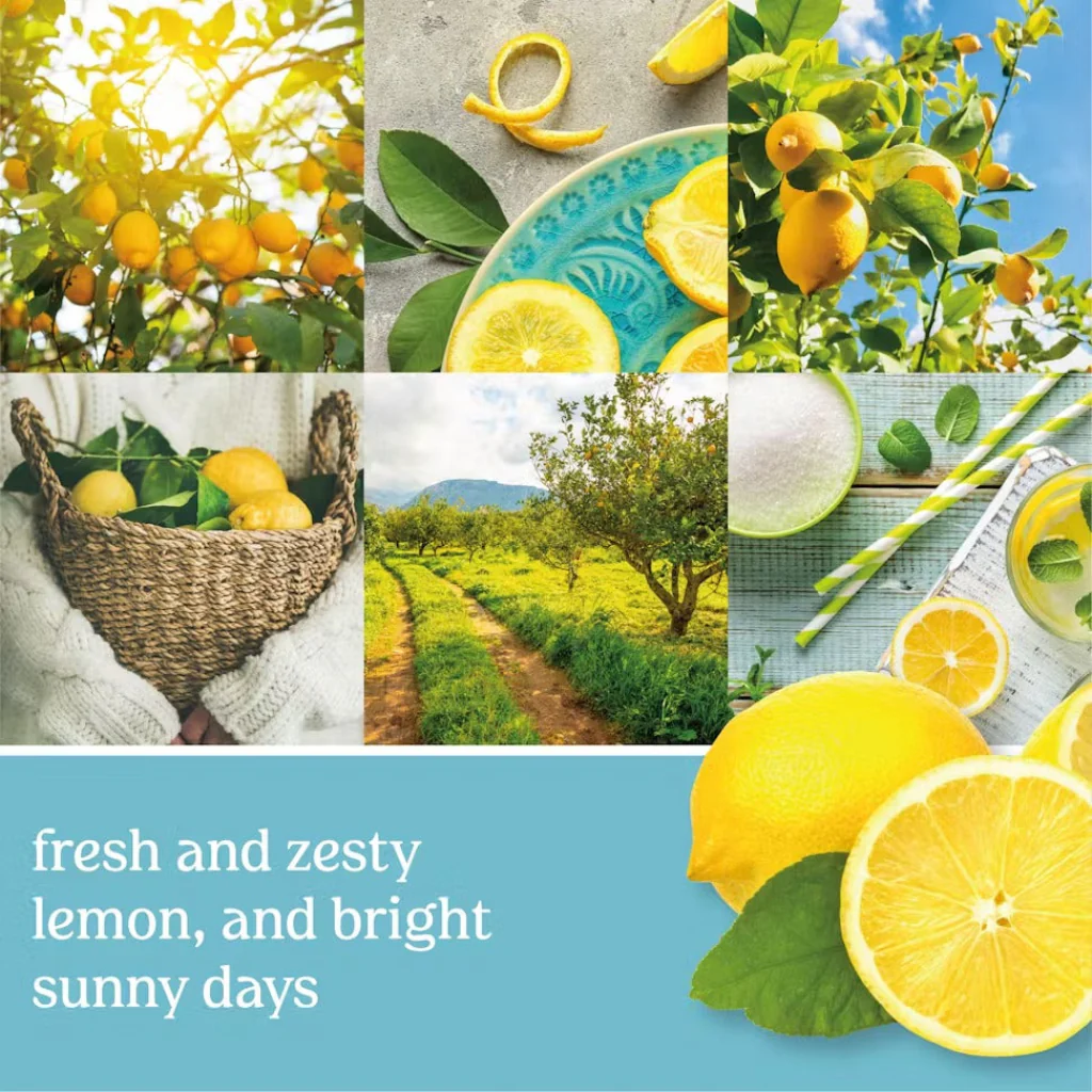 Yankee Candle : Easy MeltCup in Sicilian Lemon - Image 2