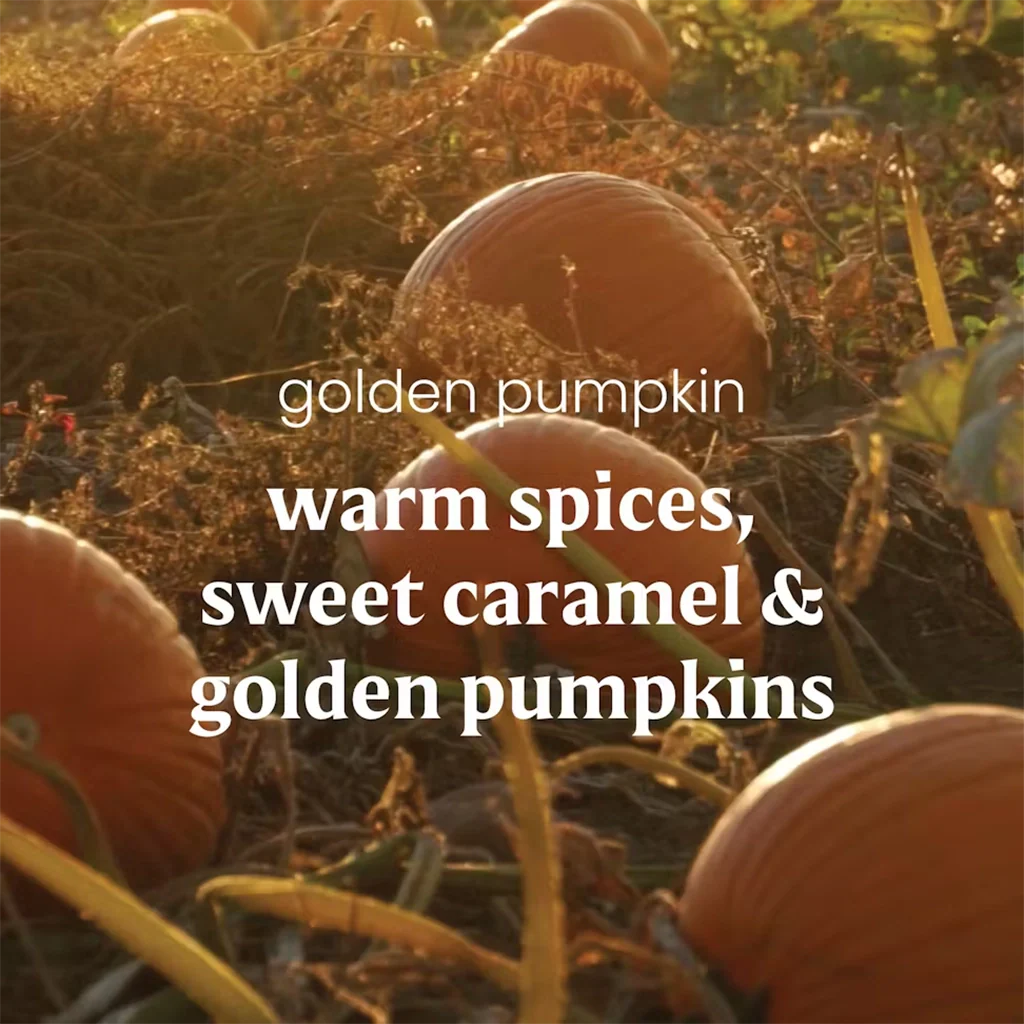 Yankee Candle : Golden Pumpkin - Small Tumbler - Image 5