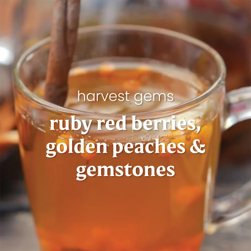 Yankee Candle : Harvest Gems - Original Jar Candle - Image 5