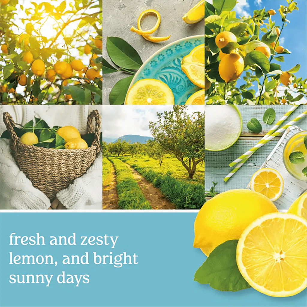 Yankee Candle : ScentPlug® Refill in Sicilian Lemon - Image 2