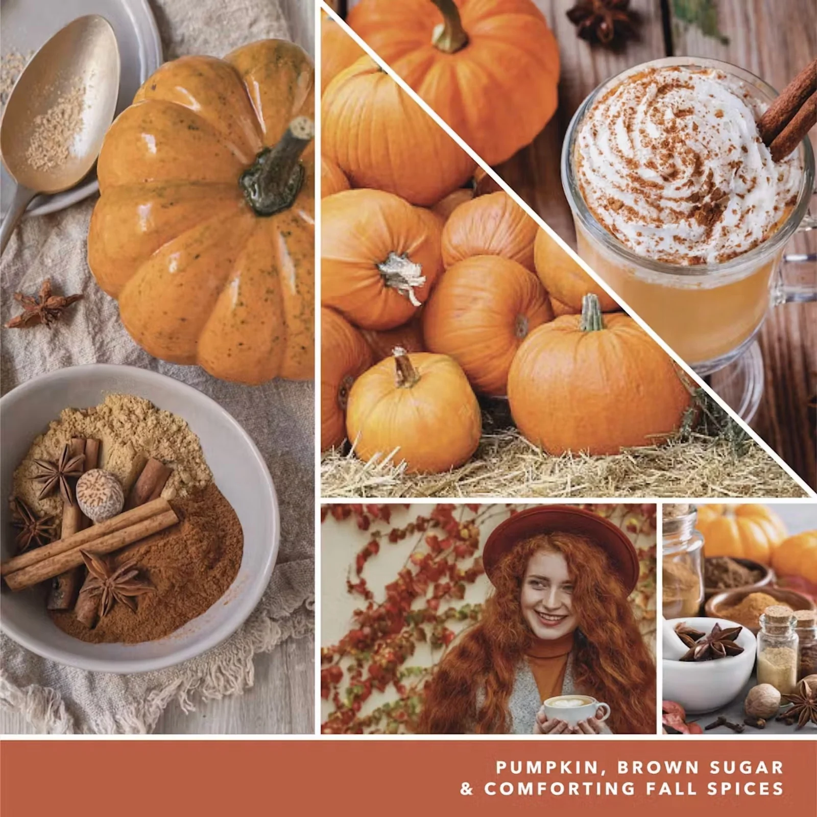 Yankee Candle : Spiced Pumpkin - Image 3